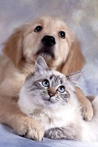 Рита Воропаева