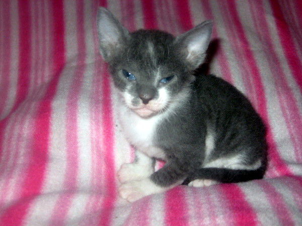 Татьяна Михеева