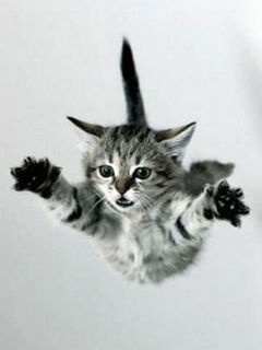 Татьяна Сушкова