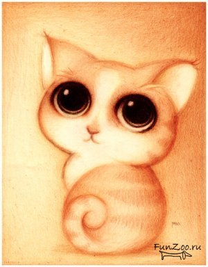 $$ Asel Shalkharova $$