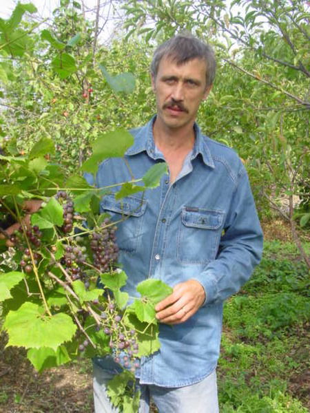 Михаил Еланцев