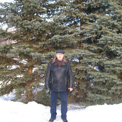 Андрей Сорокин