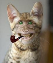 Владимир Дружков