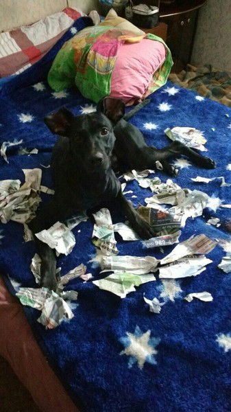 Галина Вековищева