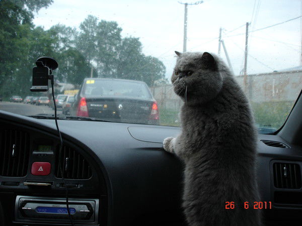 Любовь Полуляхова