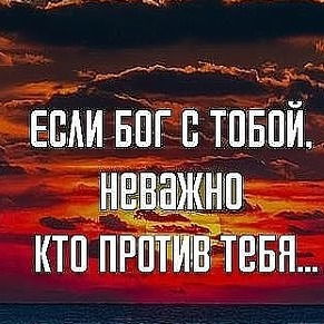 Дмитрий Гринюк