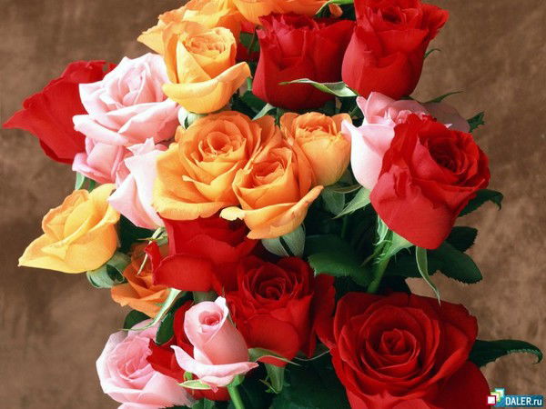 Татьяна Бахаева