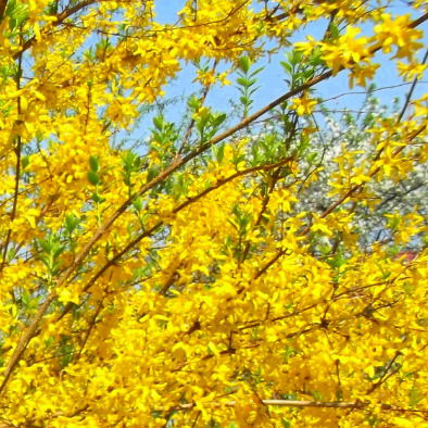 Добрый День