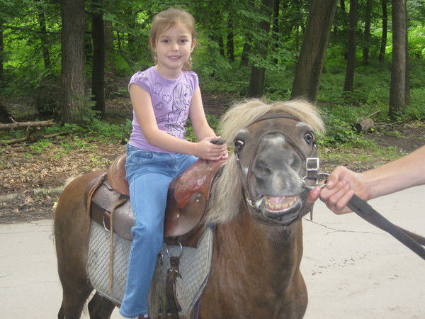 Анастасия Харчук