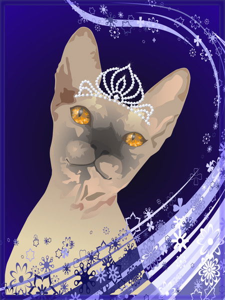 Света Цымбал