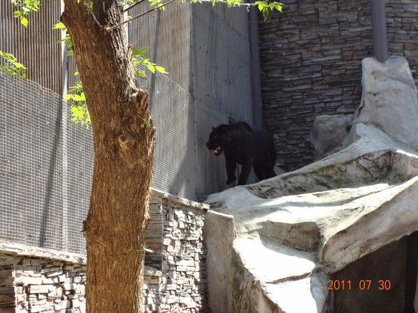 Денис Смоляков