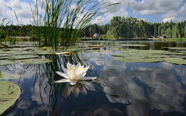 Геннадий Денисов