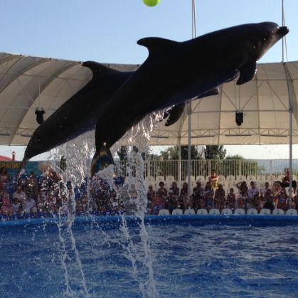 Кристина Петрова