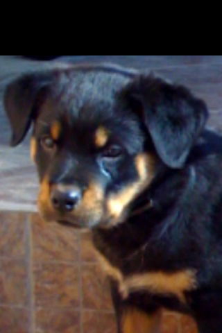 Любомир Харук