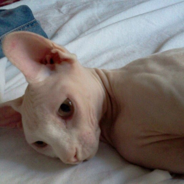 Ммммммм Ппппппппп