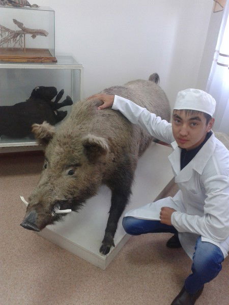 Жанибек Кадыр