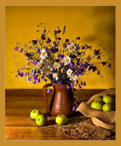 Вера Простомолотова