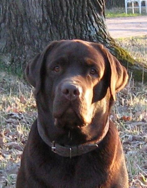 Валерыч Лозован