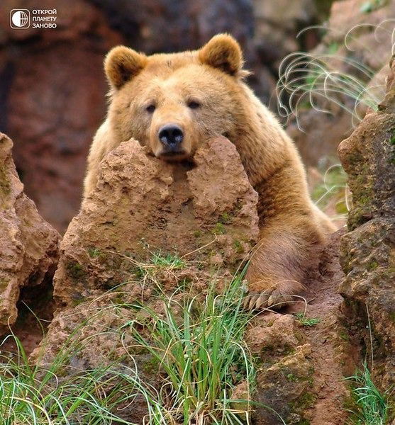 Марат Хасаншин