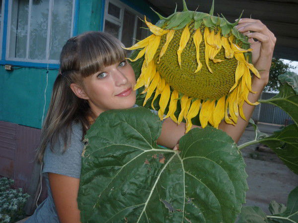 Наталья Фалалеева