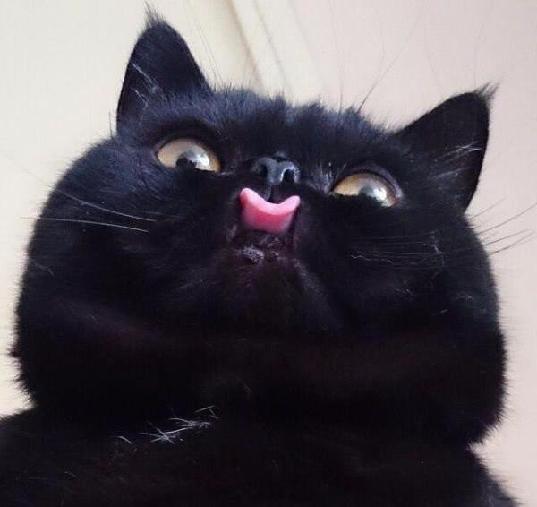 Сергей Копьёв