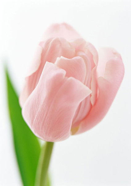 Ирина Юринова