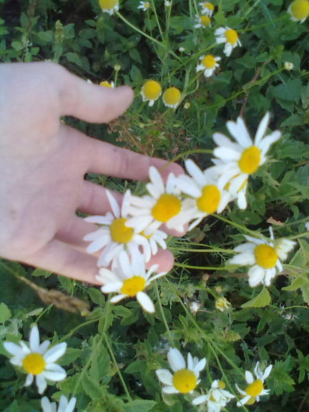 Ирина Базарова