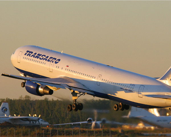 Елена Петрушина