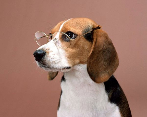 Александр Яцук