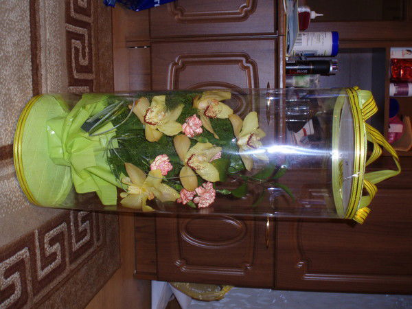 Ксения Потапенко