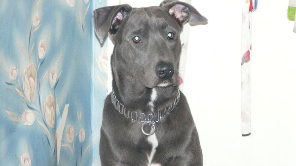 Наталья Хмелёва