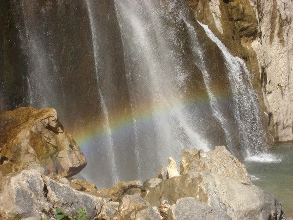 Ольга Соколова