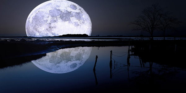 Елена Неверова