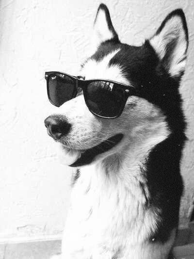 Никита Джазовский