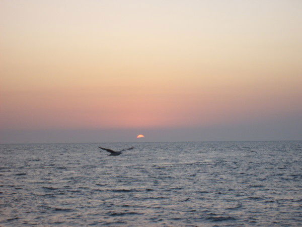 Татьяна Николаева