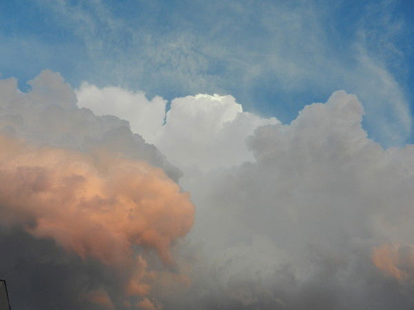 Ольга Морозова