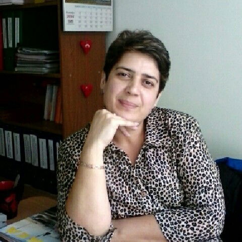 Елена Лобанова