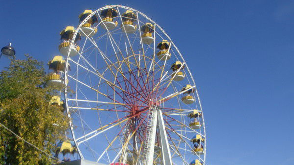 Рамиль (Роман) Салехов