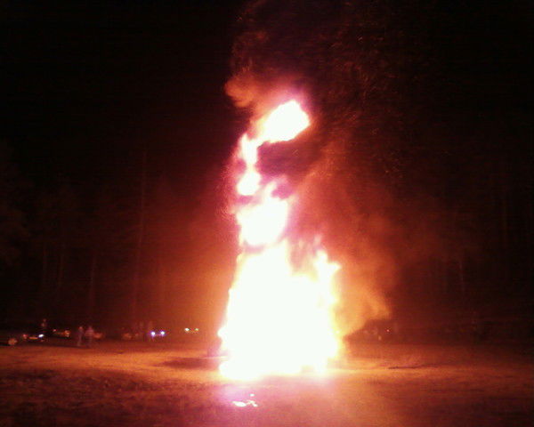 Дмитрий Платонов