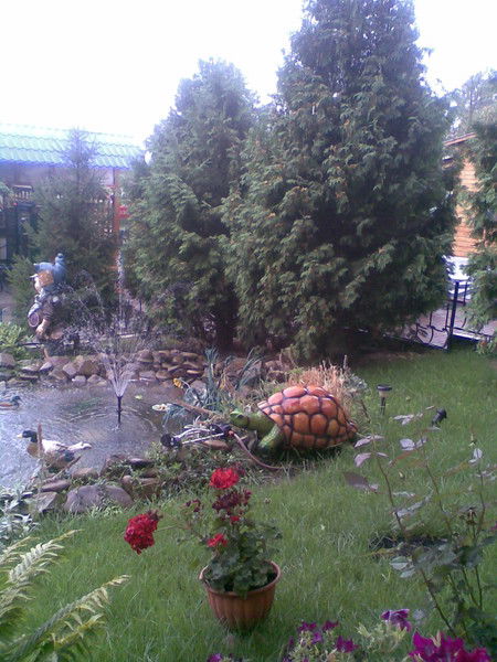 Сергей Черных