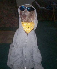 Никто Борода