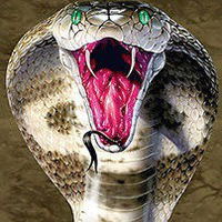 Саша Александров