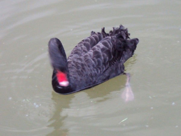 Наталия &nataly