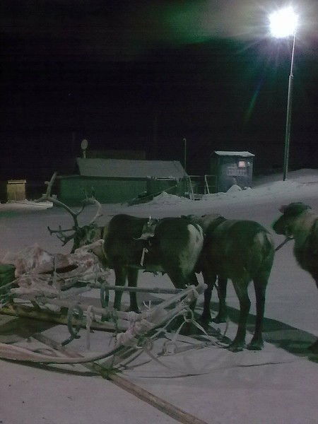 Сергей Мамаев