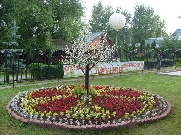 Маша Ермолаева