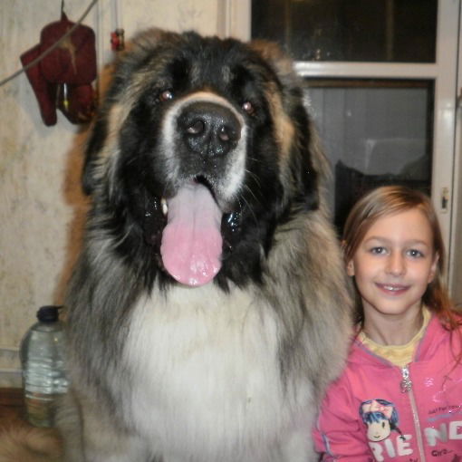 Дарья Пузикова