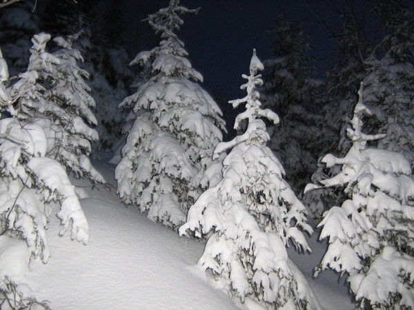 Алена Купцова