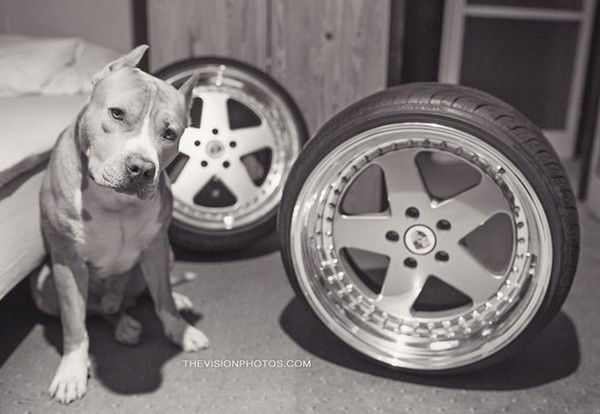 Александр Онищенко