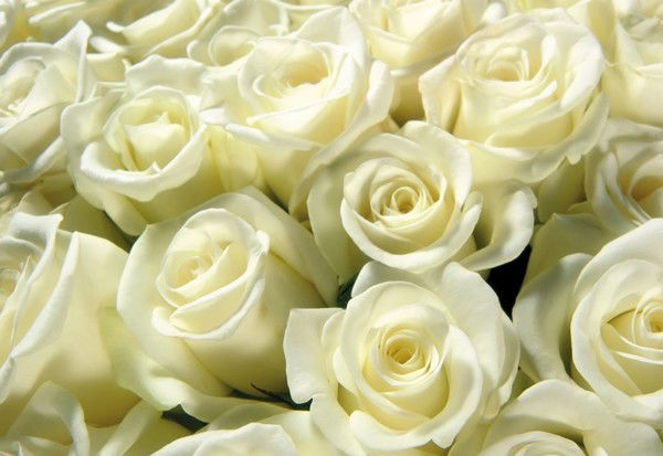 Асель Орынбекова