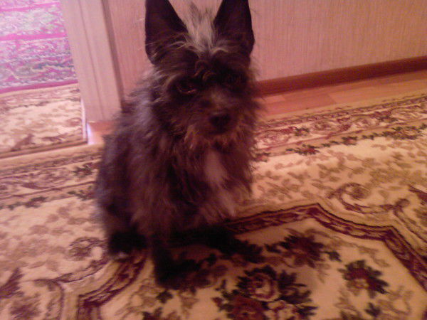 Евгений Мокринский